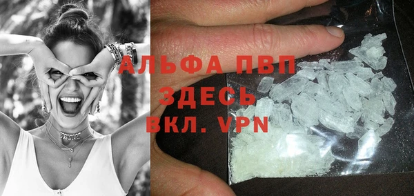 кокс Арсеньев