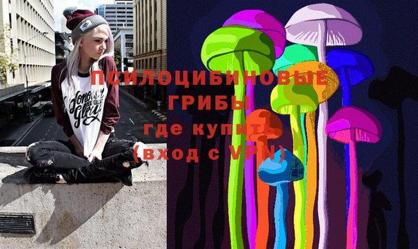 кокс Арсеньев