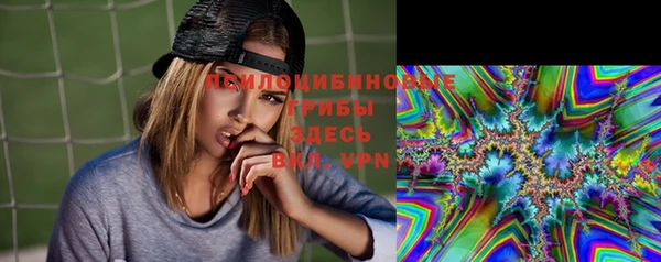 кокс Арсеньев