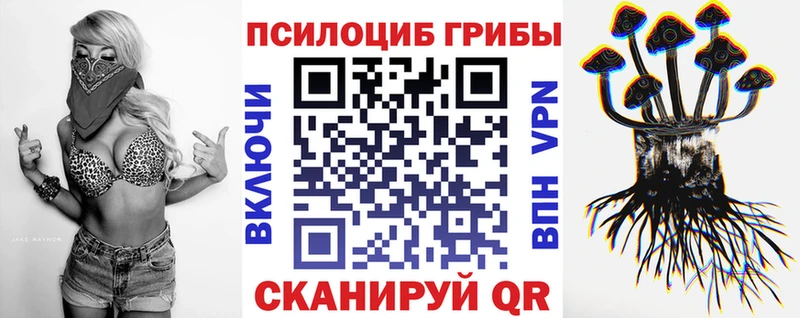 Галлюциногенные грибы MAGIC MUSHROOMS  где купить   Новороссийск 