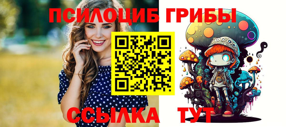 Новороссийск  Галлюциногенные грибы MAGIC MUSHROOMS  Вход с VPN  Галлюциногенные грибы прущие грибы 