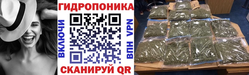 KRAKEN онион  Новороссийск  Шишки марихуана OG Kush 